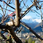 Ampaillan 002 Aosta